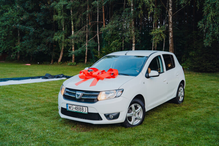 18nastka Klaudii-373