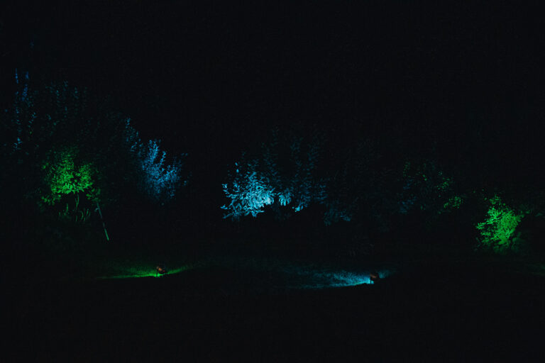 18nastka Klaudii-530