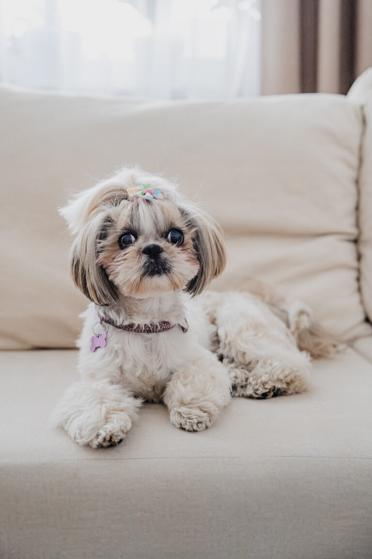 20250831 – chrzest Milosza (7)