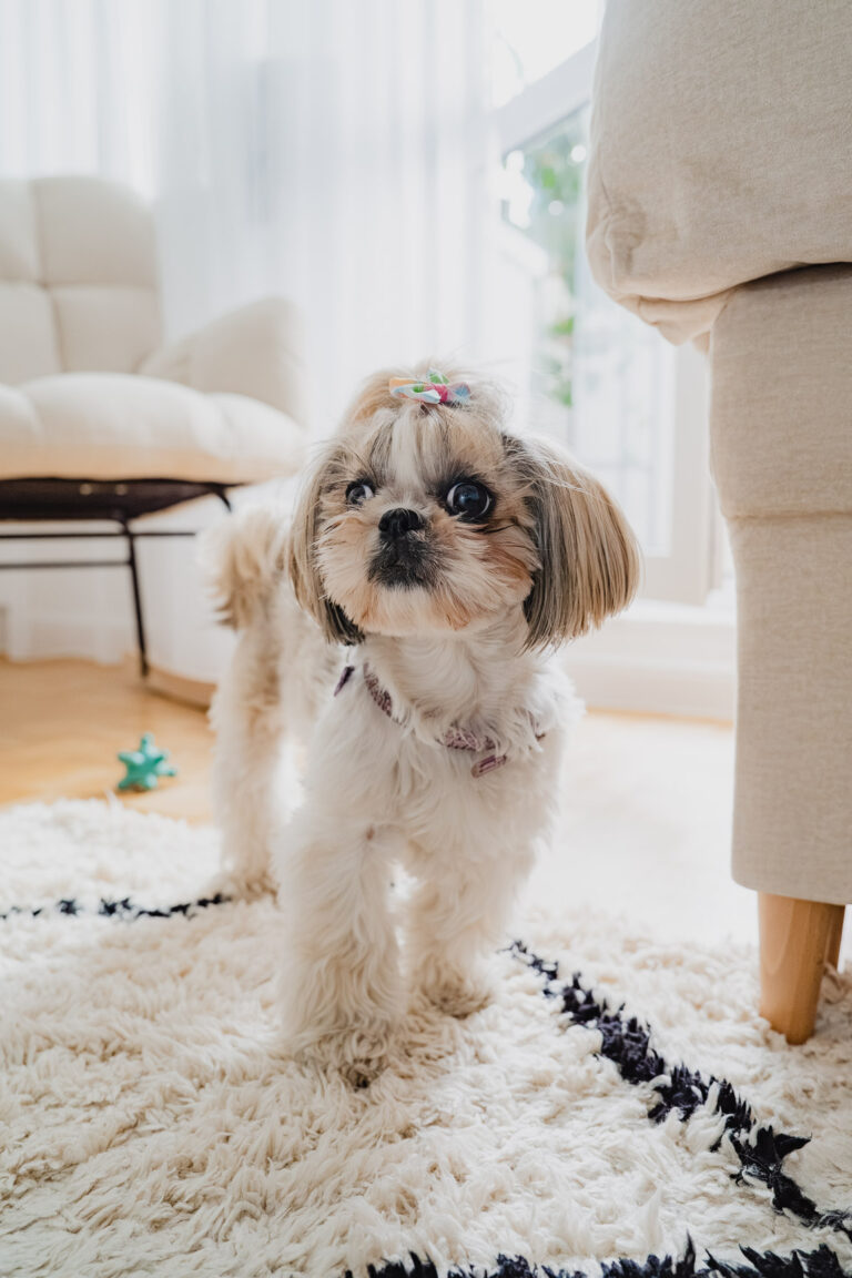 20250831 – chrzest Milosza (84)