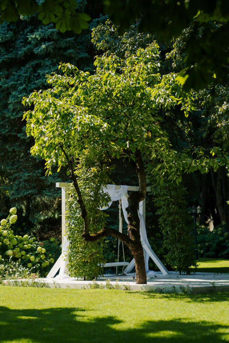 20230829 – wesele (17)